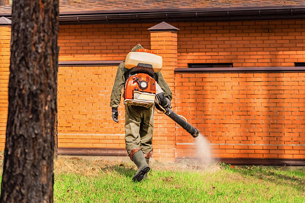 Top rated local Mosquito Control specialists in Front Royal, VA